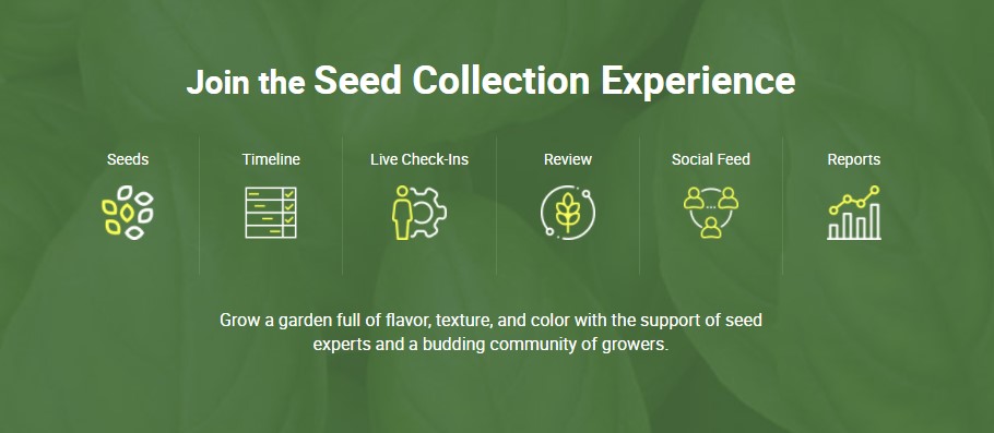 What is the the Seed Collection Experience?