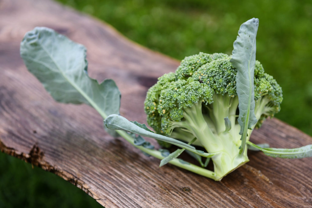 Covina Broccoli - Image